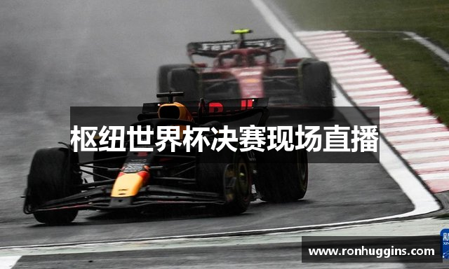 枢纽世界杯决赛现场直播