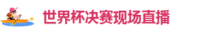 世界杯决赛现场直播